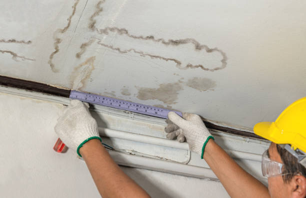 Reliable Mold Remediation contractor in Pocasset, OK by Local Water Damage Repair